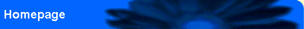 Homepage